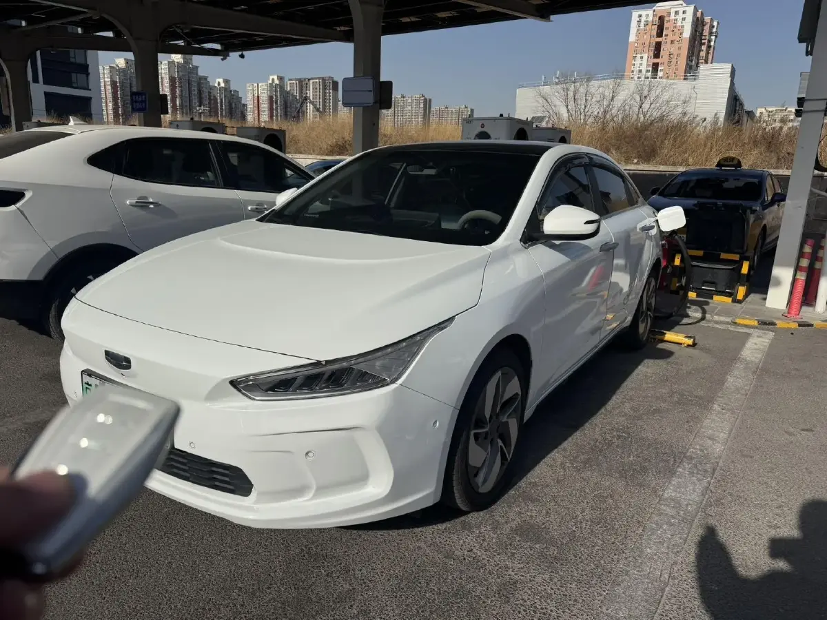 2019 Geometry A BEV 51.9KWH