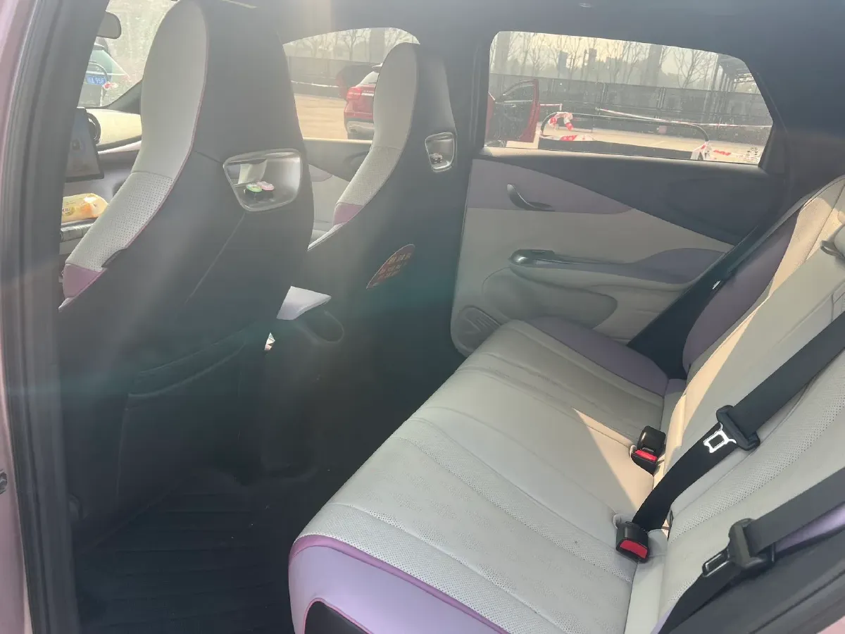 2023 BYD Dolphin BEV 44.928KWH,autocango,china used car exporter,china ev exporter,chinese used car exporter,chinese used ev exporter