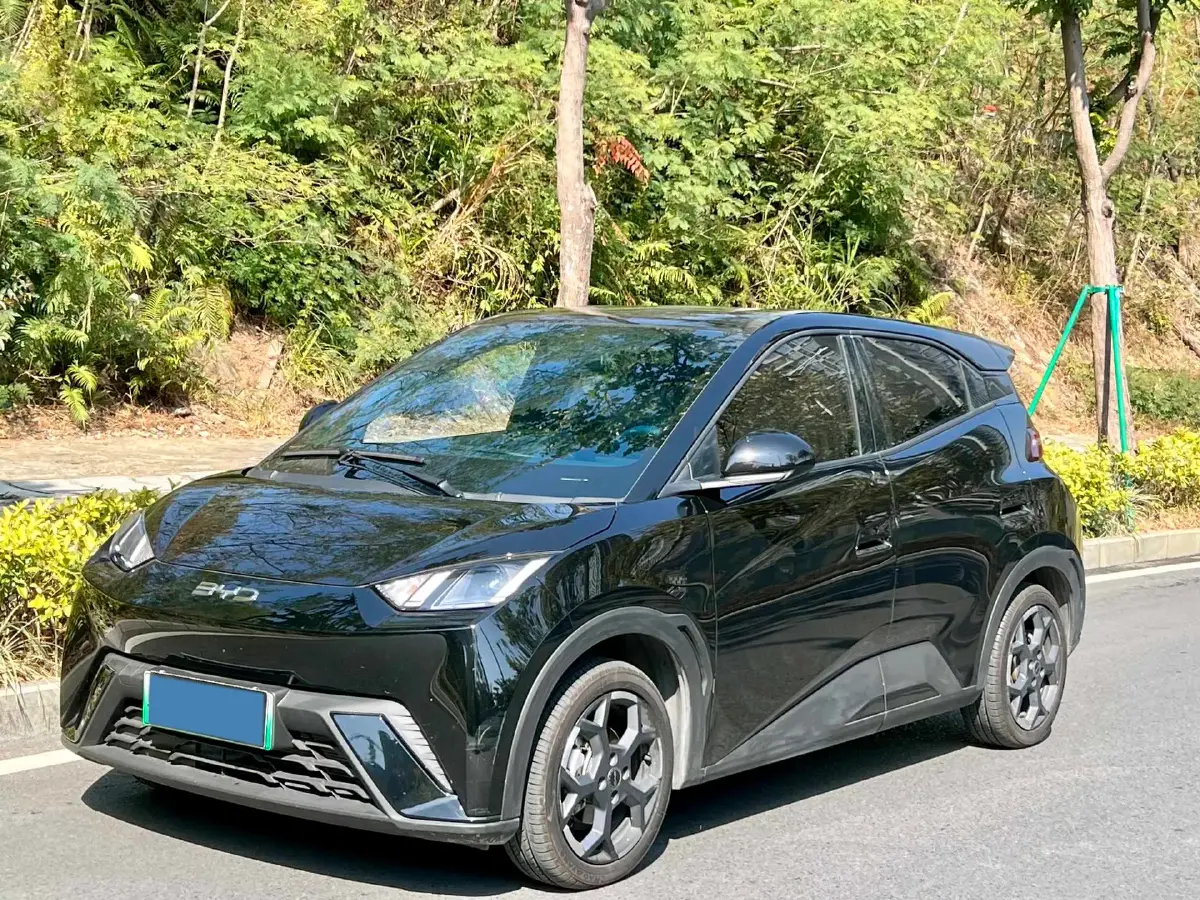 2025 BYD Seagull BEV 38.88KWH