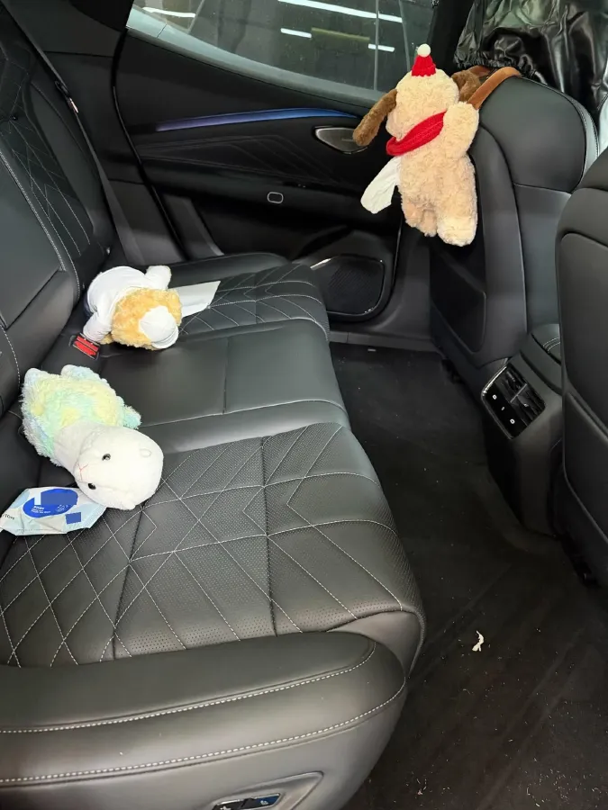 2025 LYNK&CO 10 EM-P 1.5T 163HP L4 3DHT PHEV,autocango,china used car exporter,china ev exporter,chinese used car exporter,chinese used ev exporter