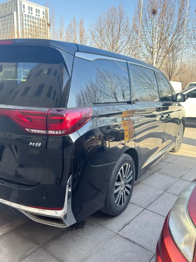 2021 GAC Trumpchi M8 2.0T 252HP L4 8AT,autocango,china used car exporter,china ev exporter,chinese used car exporter,chinese used ev exporter