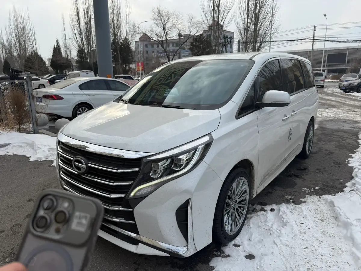 2023 GAC Trumpchi M8 2.0T 252HP L4 8AT