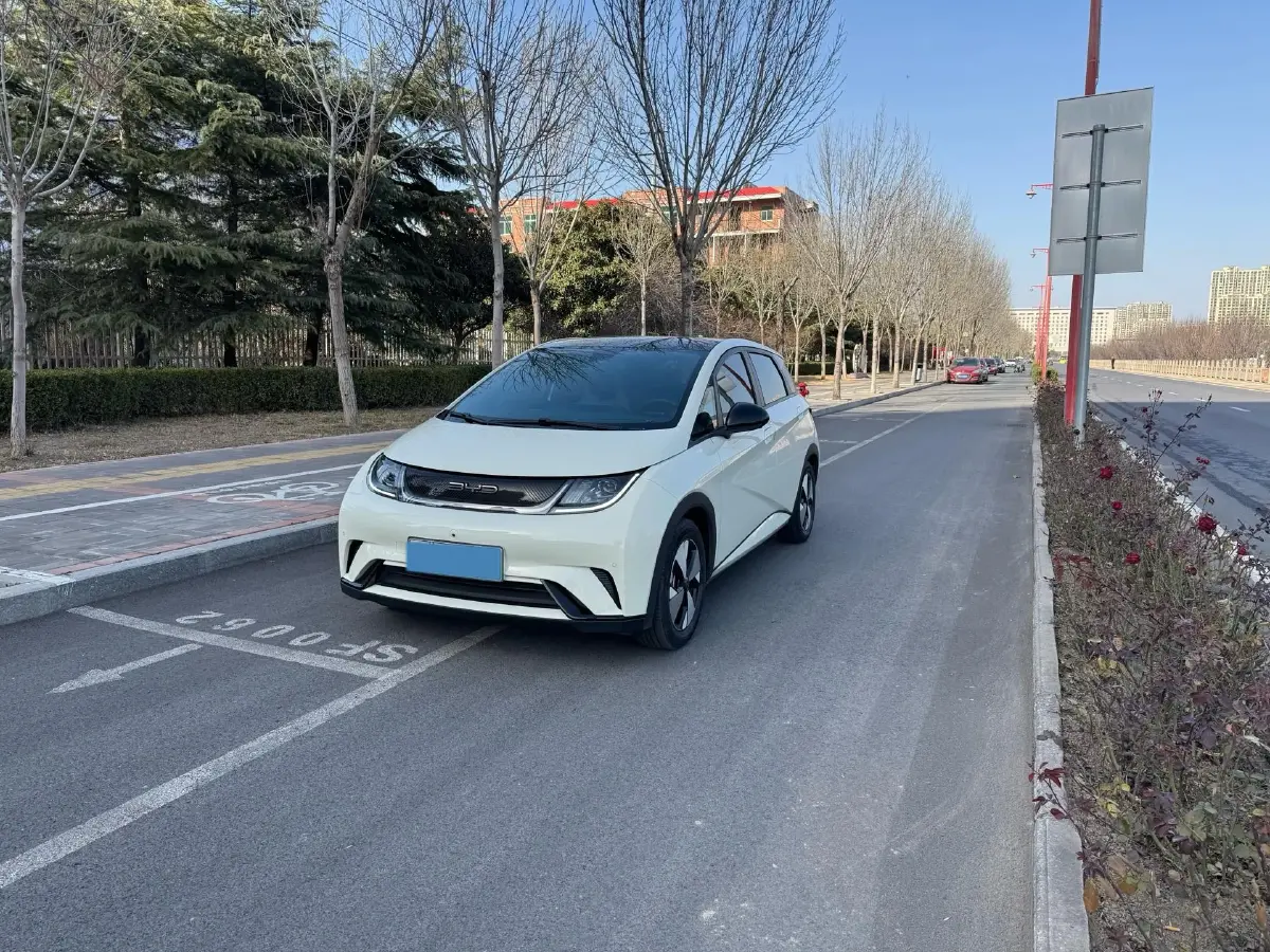 2023 BYD Dolphin BEV 44.928KWH
