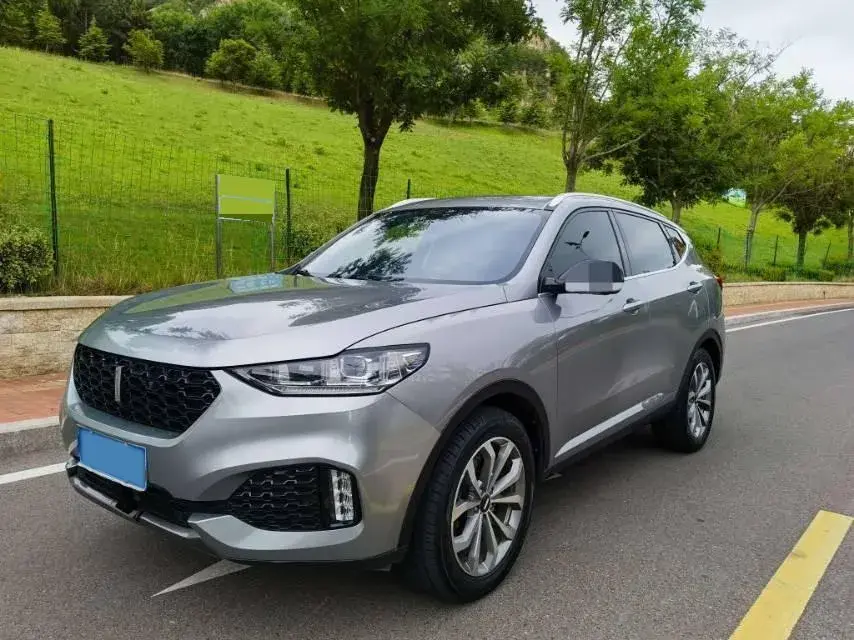 2018 WEY VV6 2.0T 197HP L4 7DCT