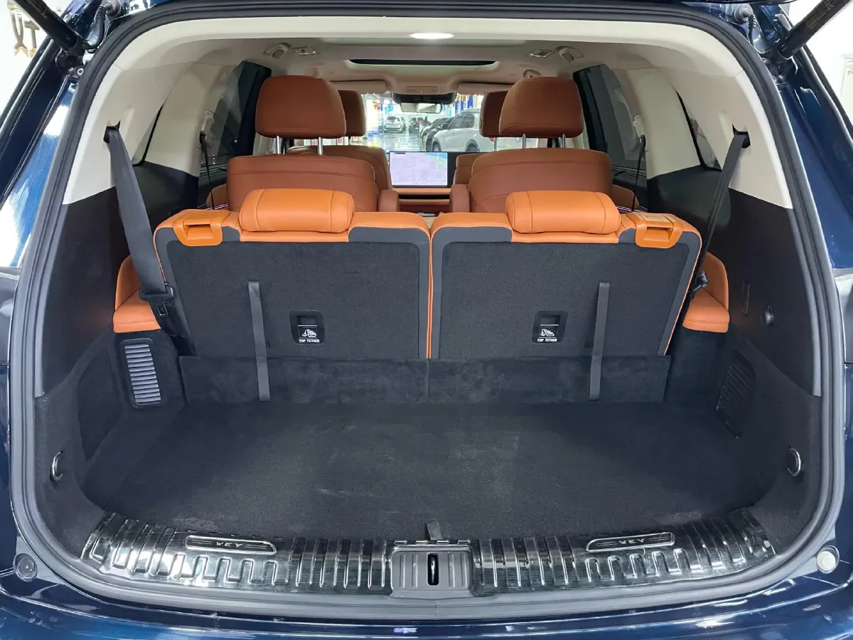 2025 WEY BlueMountain 1.5T 170HP L4 4DHT PHEV 44.5KWH,autocango,china used car exporter,china ev exporter,chinese used car exporter,chinese used ev exporter