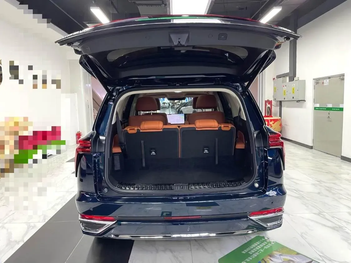 2025 WEY BlueMountain 1.5T 170HP L4 4DHT PHEV 44.5KWH,autocango,china used car exporter,china ev exporter,chinese used car exporter,chinese used ev exporter