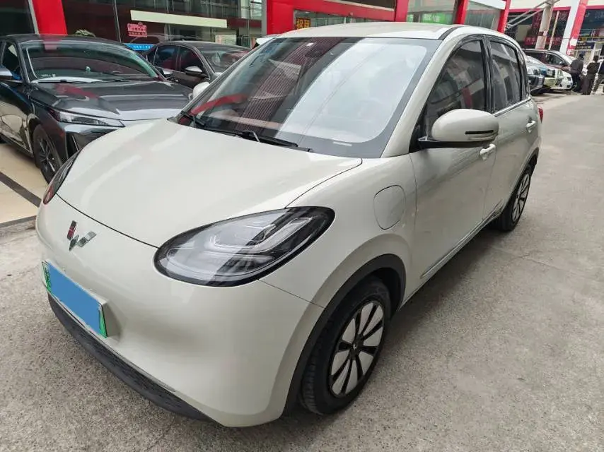 2023 WuLing BinGuo BEV 31.9KWH
