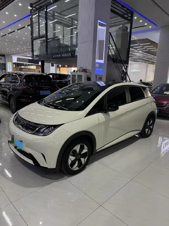 2025 BYD Dolphin BEV 44.928KWH