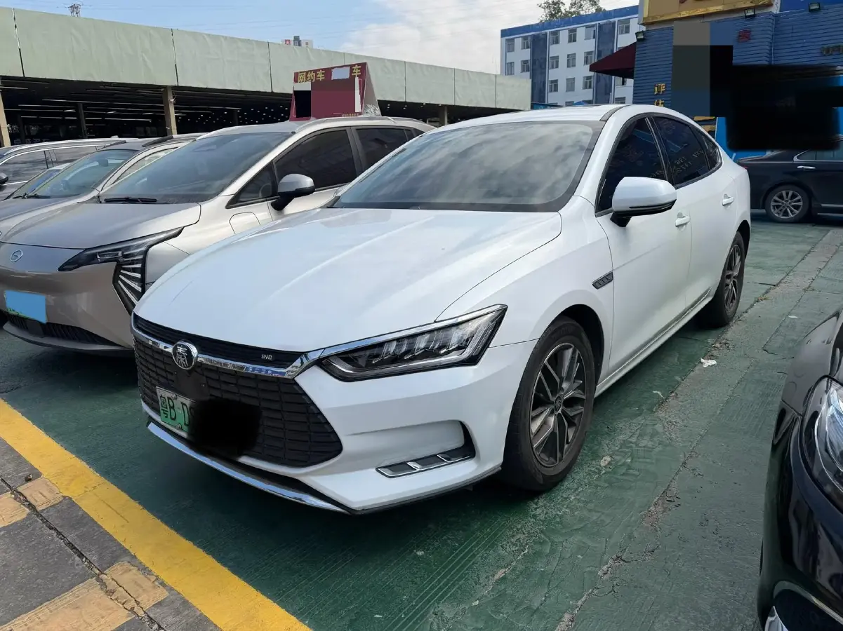 2019 BYD Qin Pro BEV 53.1KWH