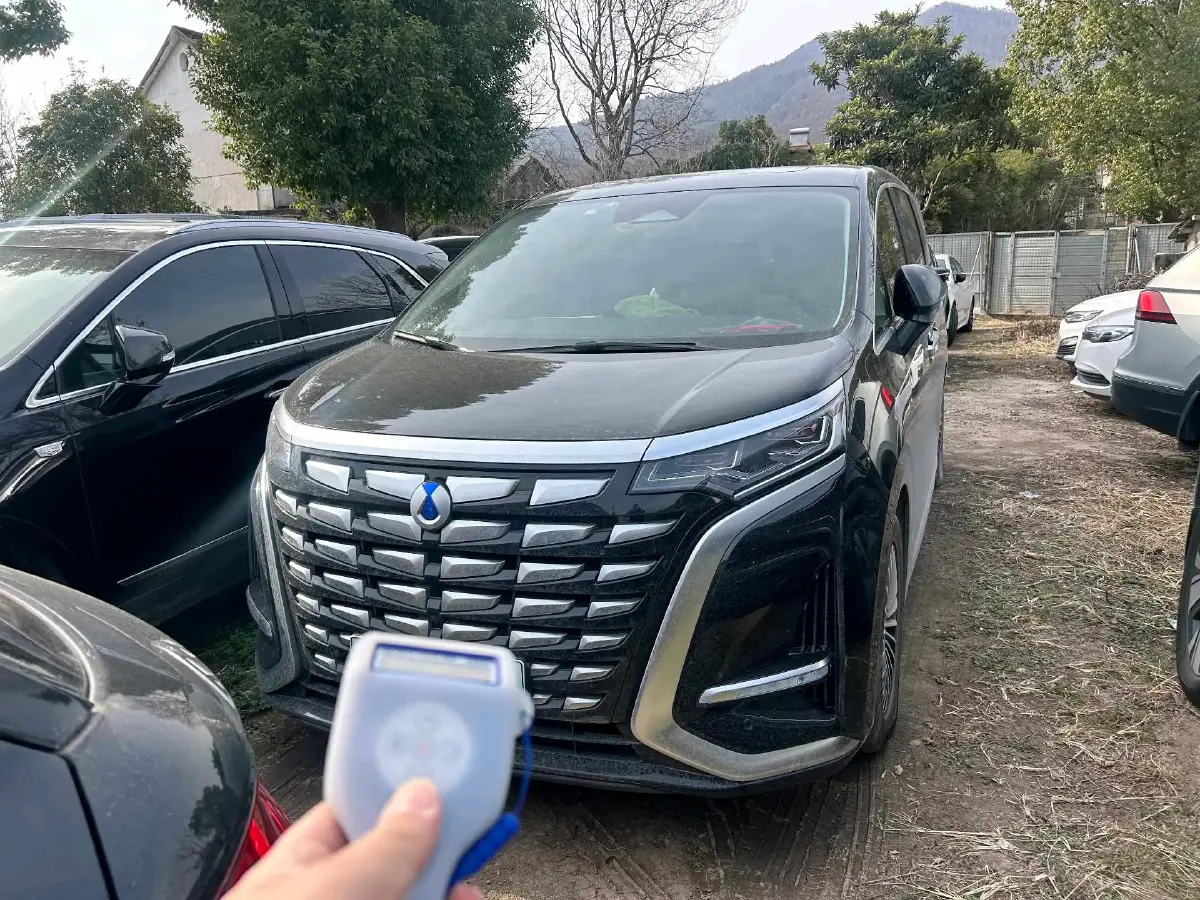 2024 Denza D9 1.5T 139HP L4 E-CVT PHEV 40KWH