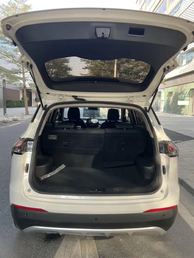 2020 JMEV E200L BEV,autocango,china used car exporter,china ev exporter,chinese used car exporter,chinese used ev exporter