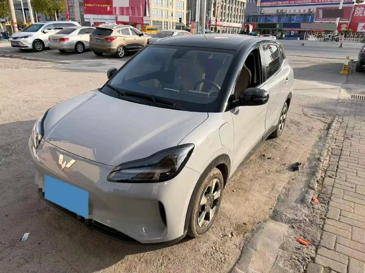2024 WuLing BinGuoPLUS BEV 37.9KWH,autocango,china used car exporter,china ev exporter,chinese used car exporter,chinese used ev exporter