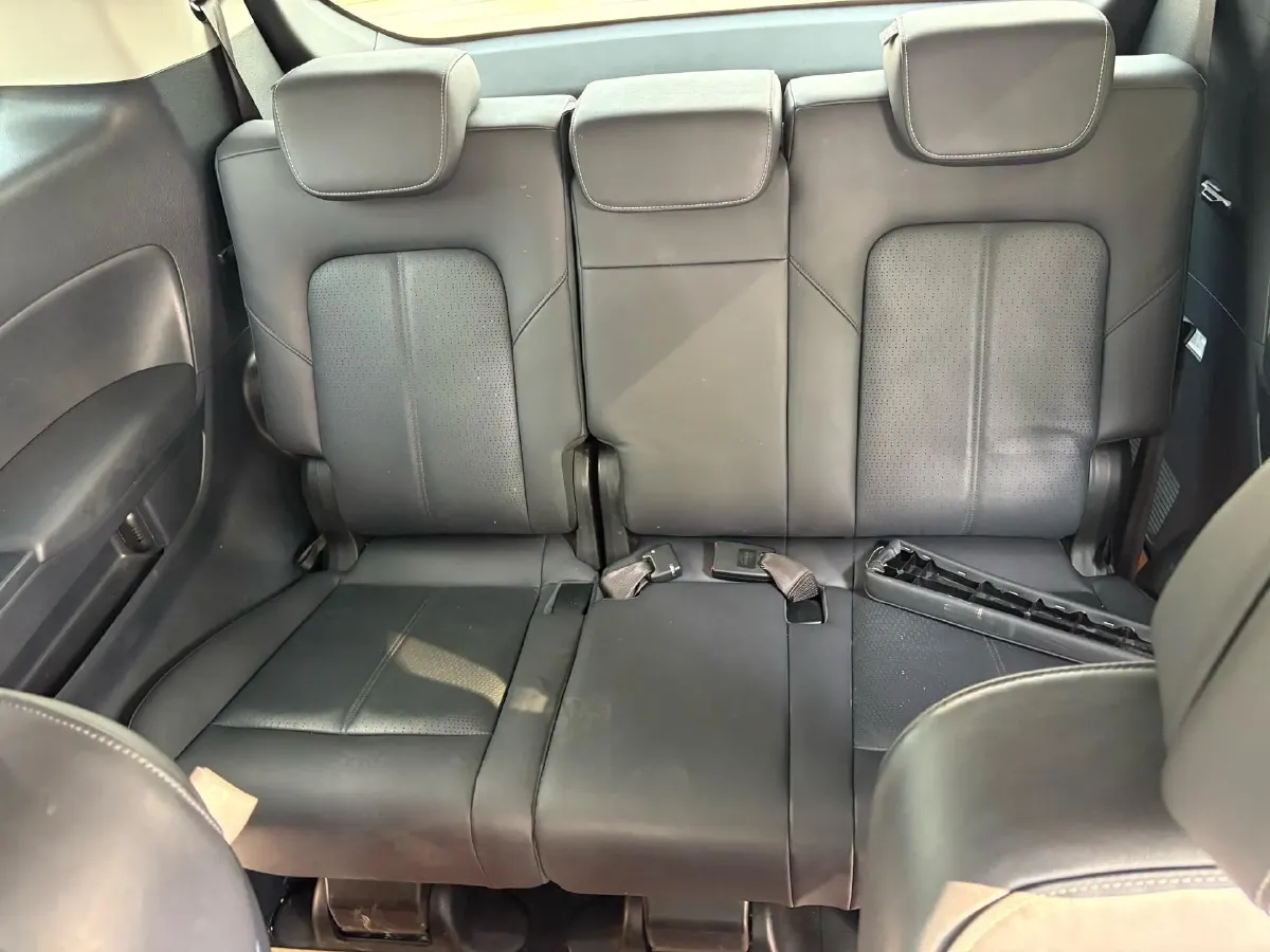 2021 GAC Trumpchi M8 2.0T 252HP L4 8AT,autocango,china used car exporter,china ev exporter,chinese used car exporter,chinese used ev exporter