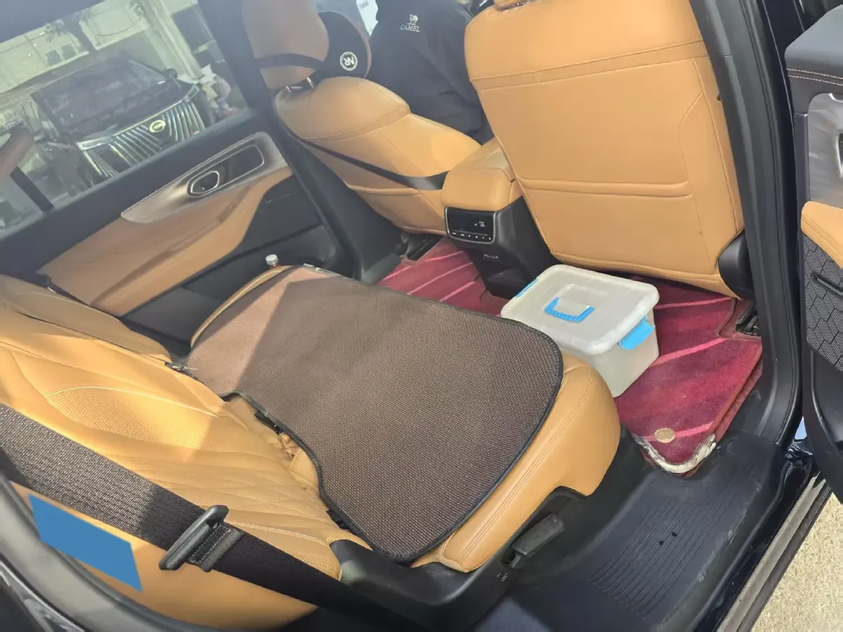 2024 GAC Trumpchi GS8 2.0T 252HP L4 8AT,autocango,china used car exporter,china ev exporter,chinese used car exporter,chinese used ev exporter