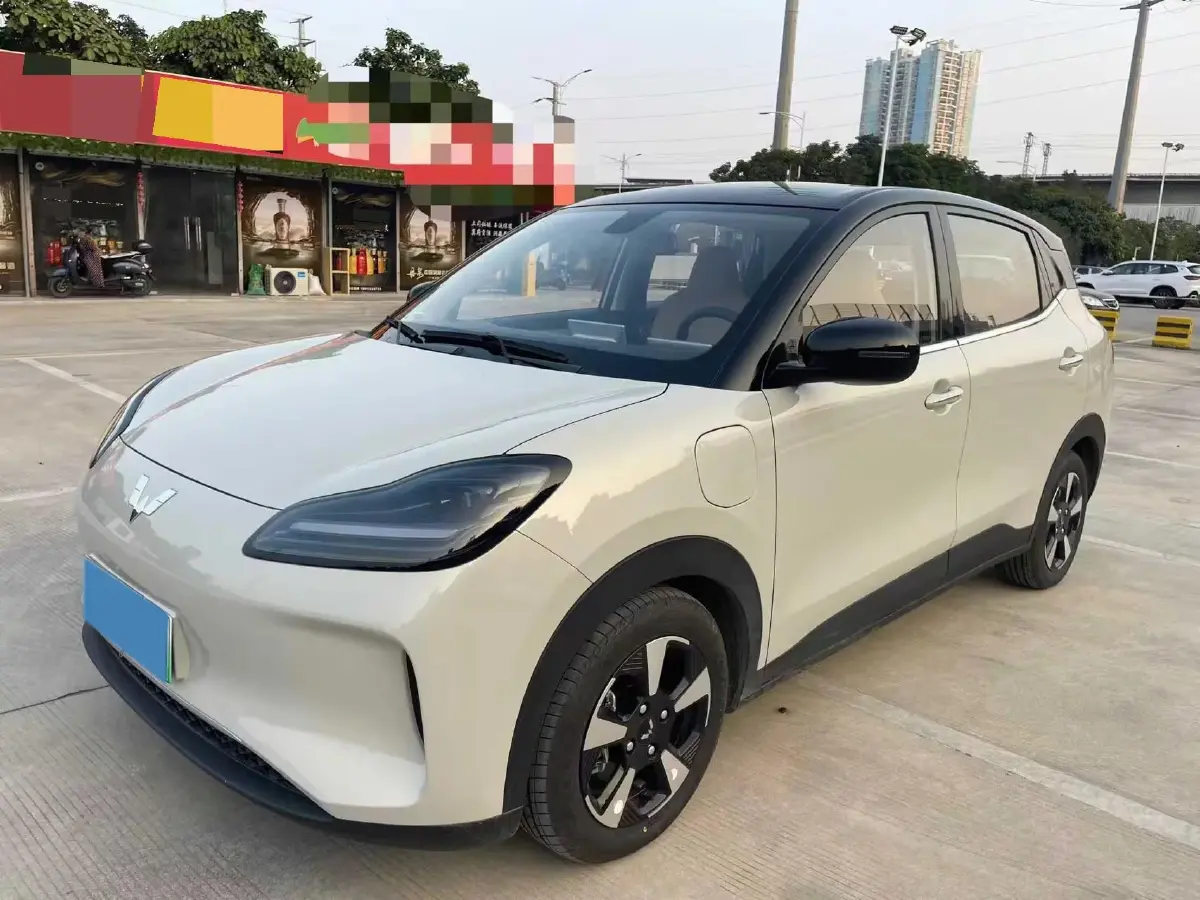 2024 WuLing BinGuoPLUS BEV 37.9KWH