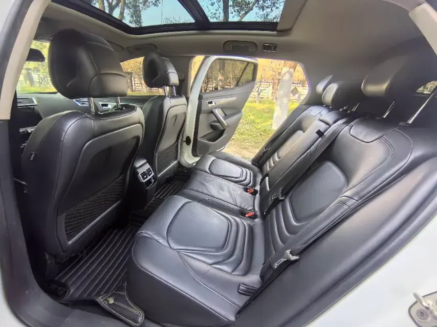 2017 DS 6 1.6T 167HP L4 6AT,autocango,china used car exporter,china ev exporter,chinese used car exporter,chinese used ev exporter