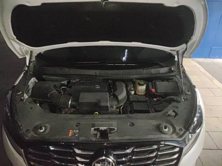 2022 Buick GL8 2.0T 237HP L4 9AT,autocango,china used car exporter,china ev exporter,chinese used car exporter,chinese used ev exporter