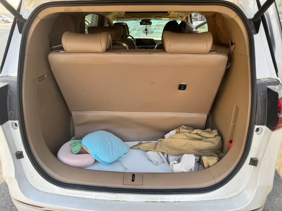 2021 Buick GL8 2.0T 237HP L4 9AT,autocango,china used car exporter,china ev exporter,chinese used car exporter,chinese used ev exporter