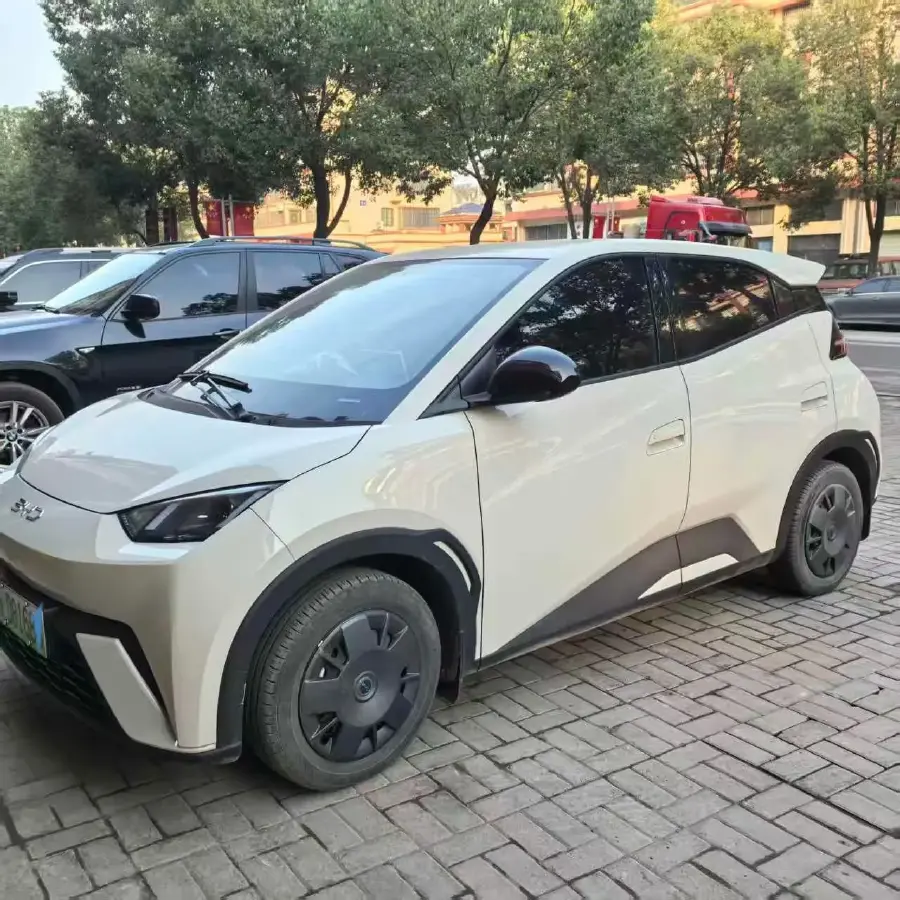 2025 BYD Seagull BEV 30.08KWH
