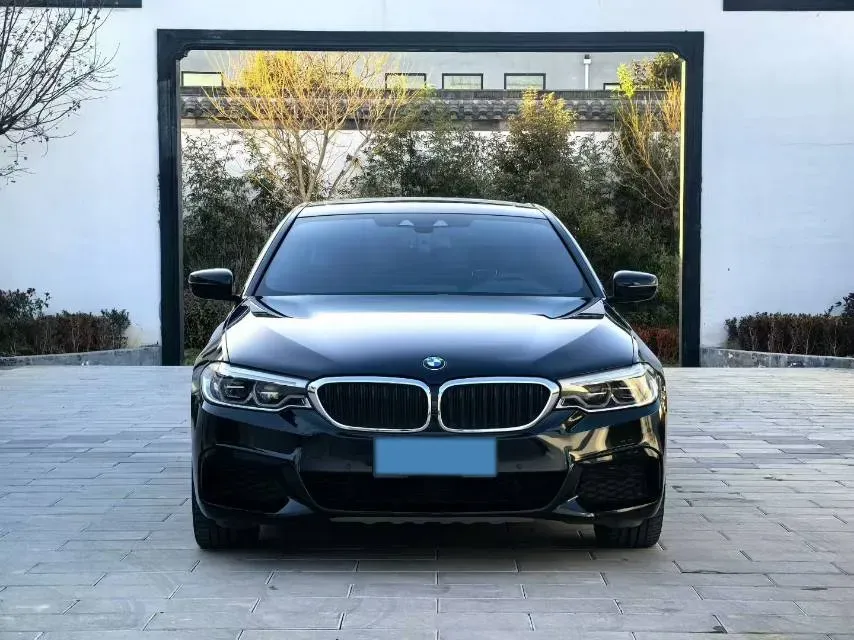 2020 BMW 5 Series 2.0T 252HP L4 8AT,autocango,china used car exporter,china ev exporter,chinese used car exporter,chinese used ev exporter