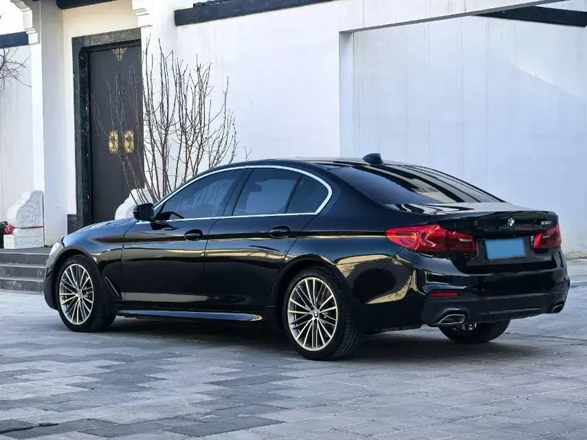 2020 BMW 5 Series 2.0T 252HP L4 8AT,autocango,china used car exporter,china ev exporter,chinese used car exporter,chinese used ev exporter