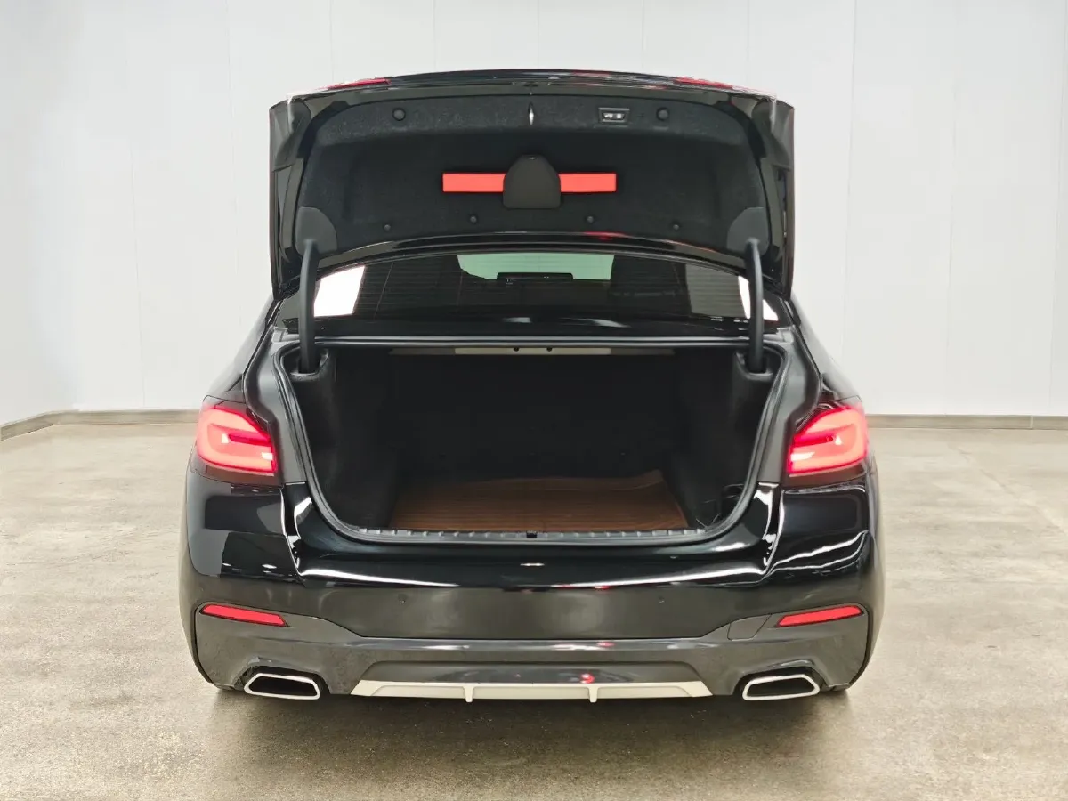 2022 BMW 5 Series 2.0T 252HP L4 8AT,autocango,china used car exporter,china ev exporter,chinese used car exporter,chinese used ev exporter