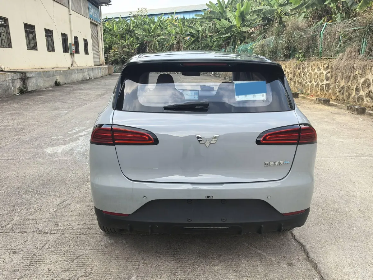 2024 WuLing BinGuoPLUS BEV 50.6KWH,autocango,china used car exporter,china ev exporter,chinese used car exporter,chinese used ev exporter