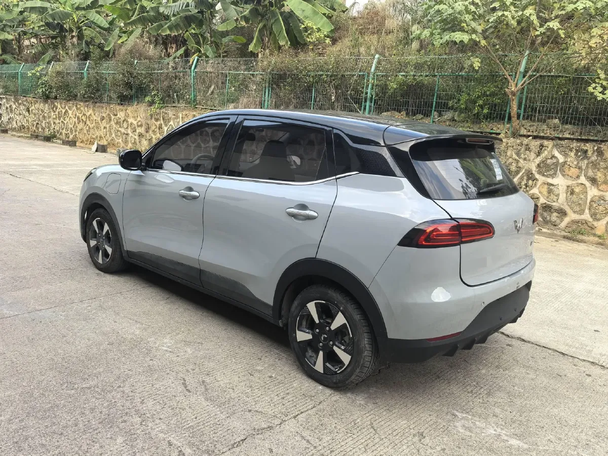 2024 WuLing BinGuoPLUS BEV 50.6KWH,autocango,china used car exporter,china ev exporter,chinese used car exporter,chinese used ev exporter
