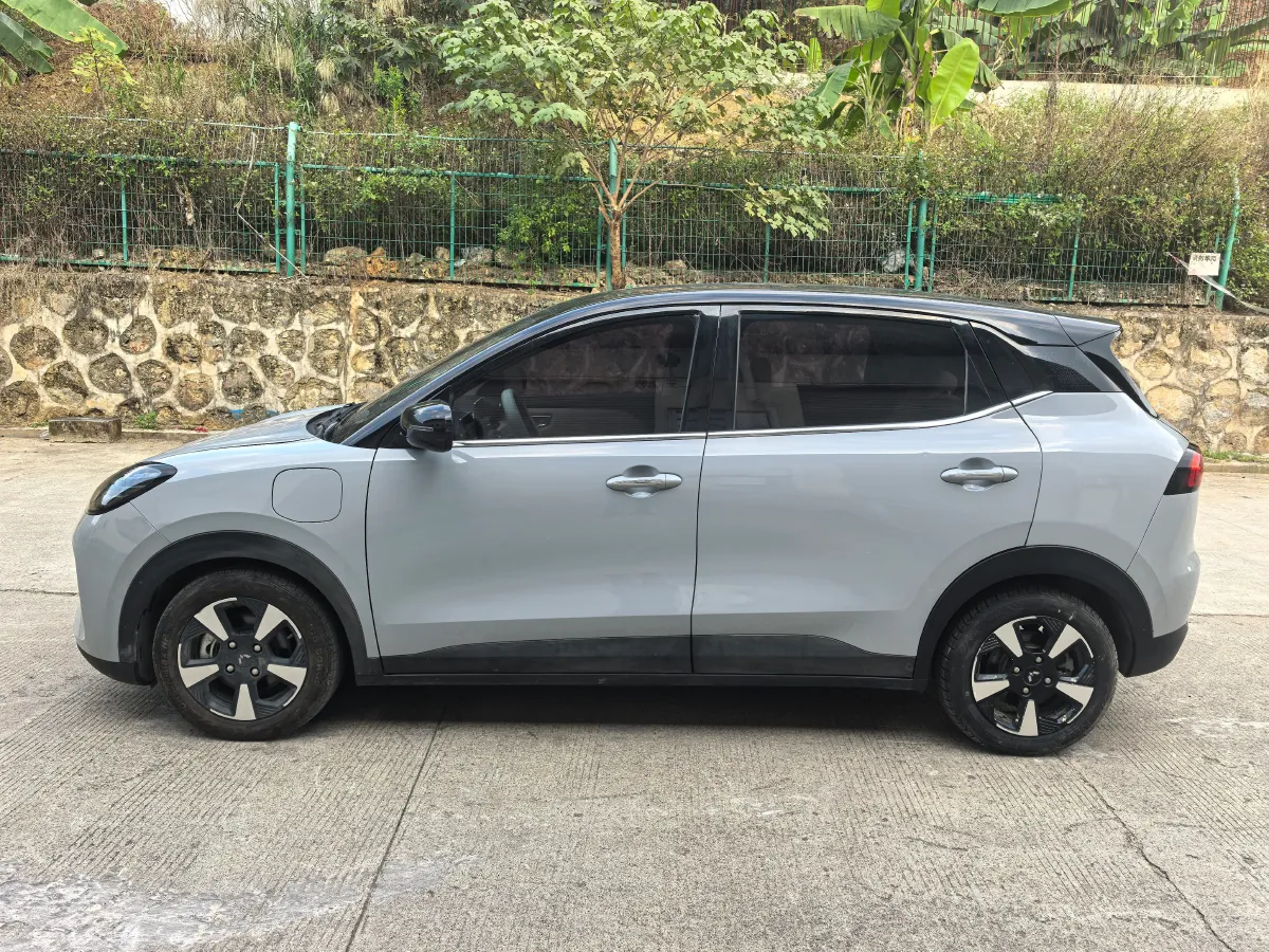 2024 WuLing BinGuoPLUS BEV 50.6KWH,autocango,china used car exporter,china ev exporter,chinese used car exporter,chinese used ev exporter