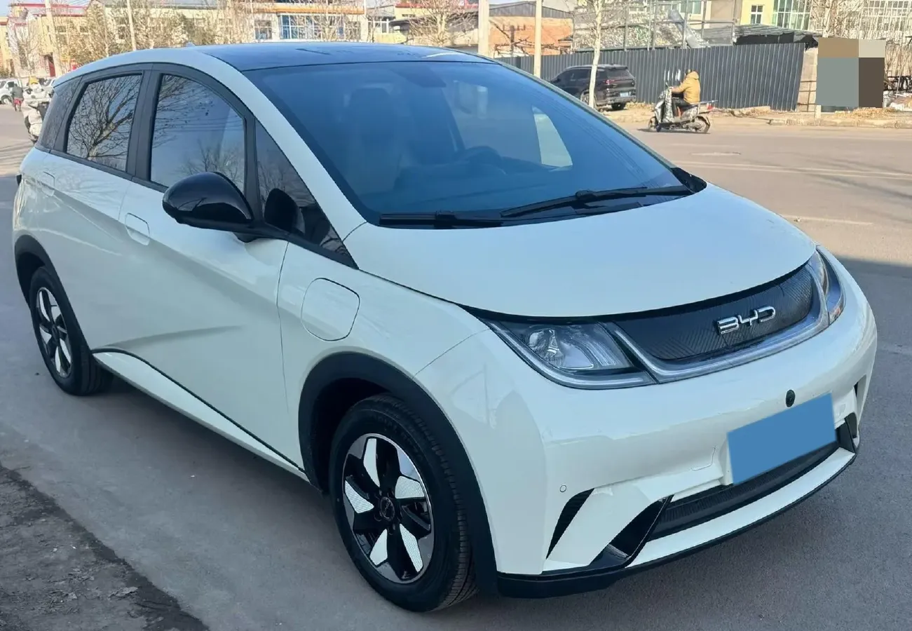 2024 BYD Dolphin BEV 44.928KWH,autocango,china used car exporter,china ev exporter,chinese used car exporter,chinese used ev exporter