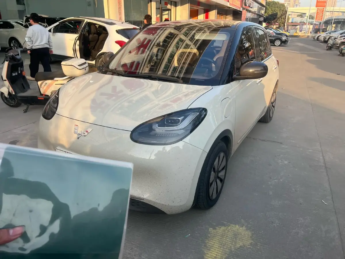 2023 WuLing BinGuo BEV 31.9KWH