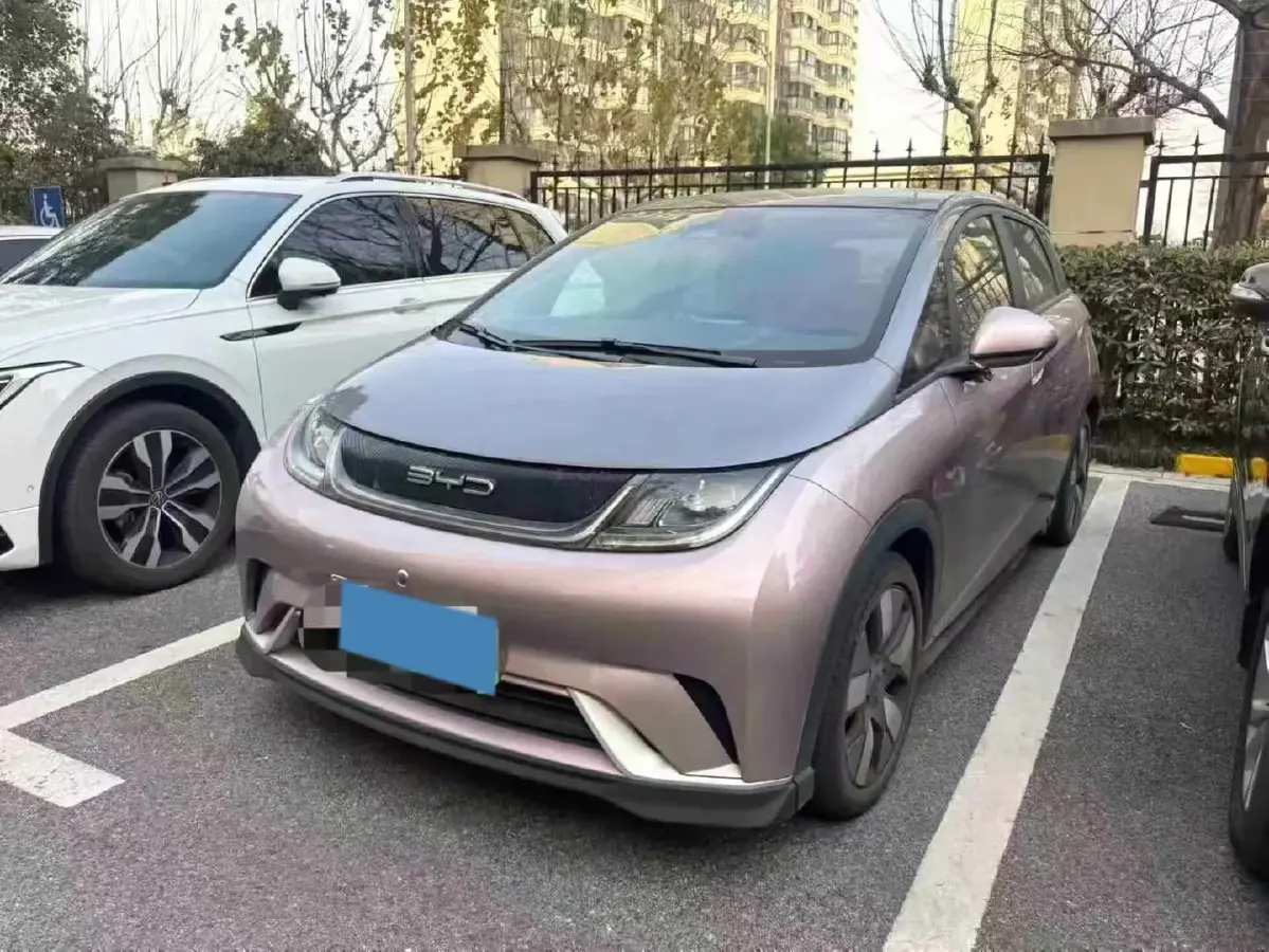 2021 BYD e2 BEV 43.2KWH