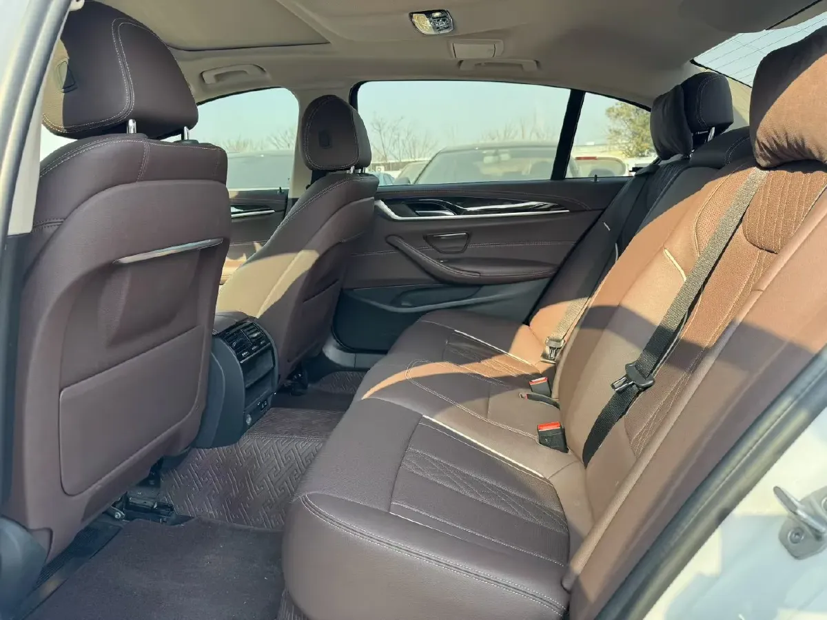 2021 BMW 5 Series 2.0T 184HP L4 8AT,autocango,china used car exporter,china ev exporter,chinese used car exporter,chinese used ev exporter