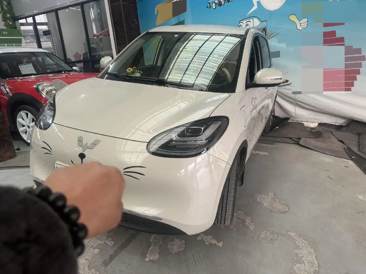2023 WuLing BinGuo BEV 31.9KWH