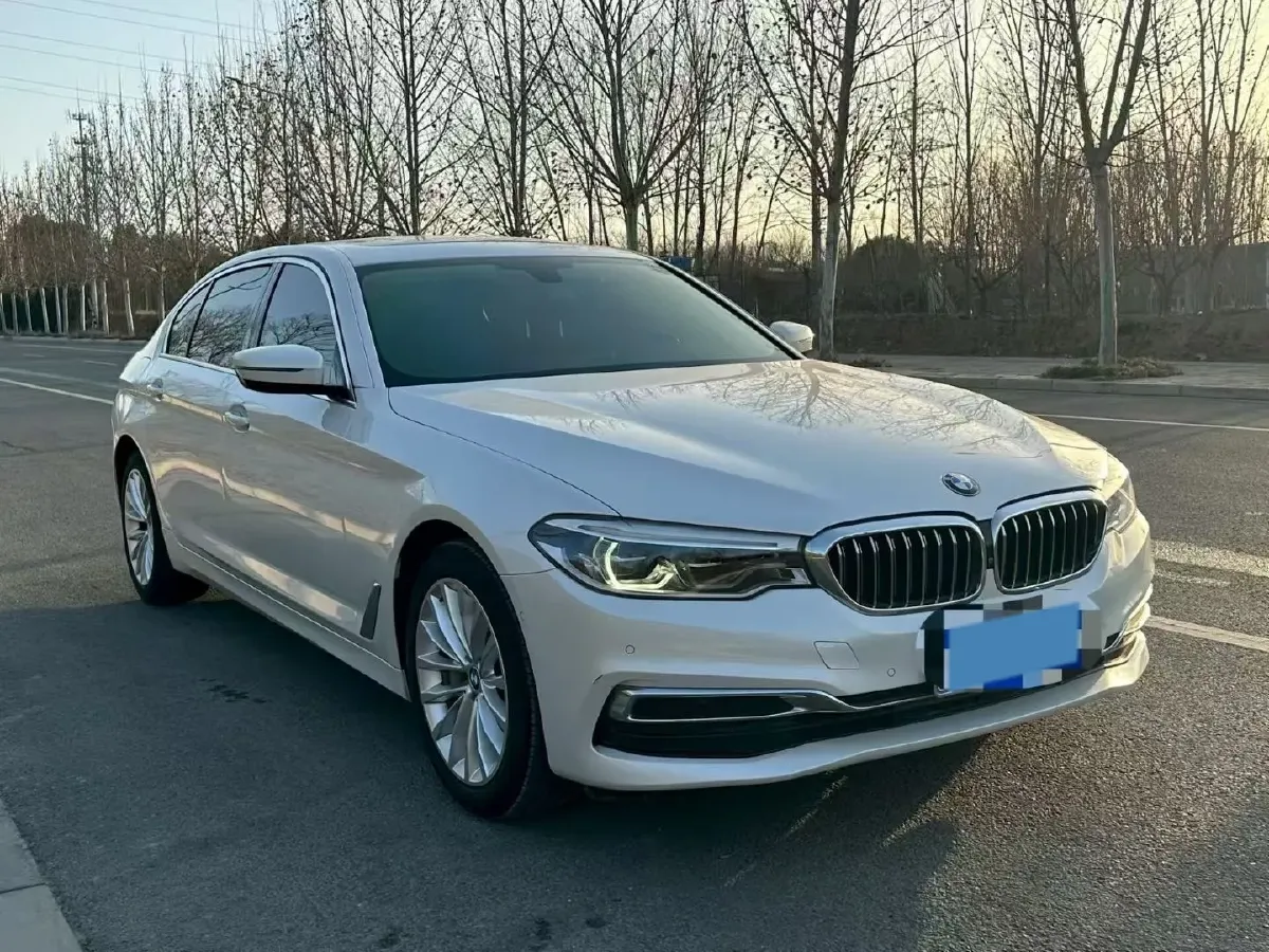 2020 BMW 5 Series 2.0T 252HP L4 8AT,autocango,china used car exporter,china ev exporter,chinese used car exporter,chinese used ev exporter