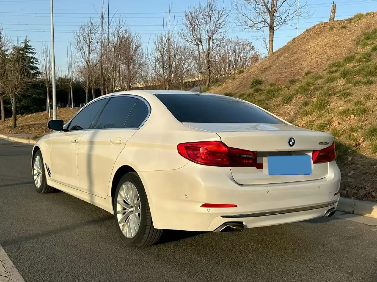 2020 BMW 5 Series 2.0T 252HP L4 8AT,autocango,china used car exporter,china ev exporter,chinese used car exporter,chinese used ev exporter