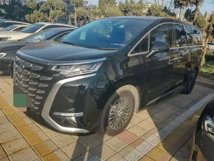 2024 Denza D9 1.5T 139HP L4 E-CVT PHEV 20.39KWH