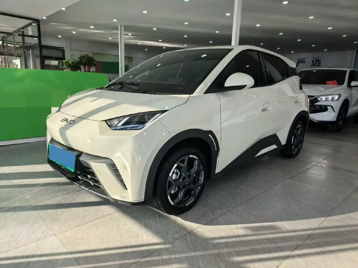 2025 BYD Seagull BEV 30.08KWH