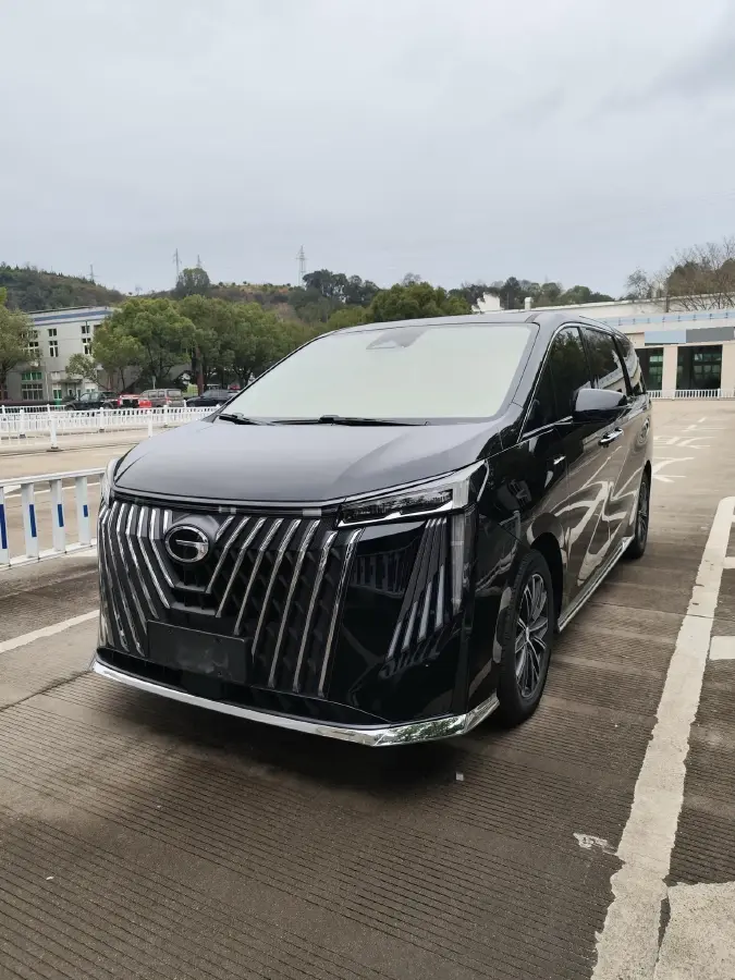 2024 GAC Trumpchi M8 2.0T 252HP L4 8AT