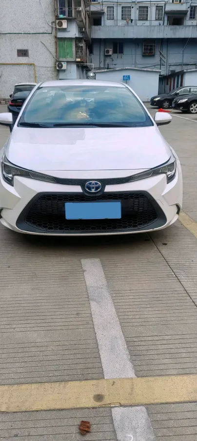 2021 Toyota Levin 1.8L 98HP L4 E-CVT Hybrid,autocango,china used car exporter,china ev exporter,chinese used car exporter,chinese used ev exporter
