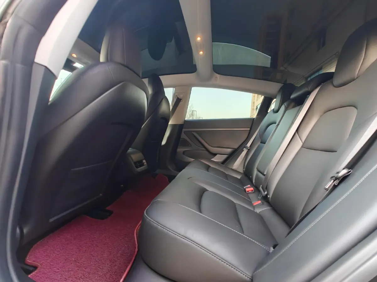 2020 Tesla Model 3 BEV 55KWH,autocango,china used car exporter,china ev exporter,chinese used car exporter,chinese used ev exporter