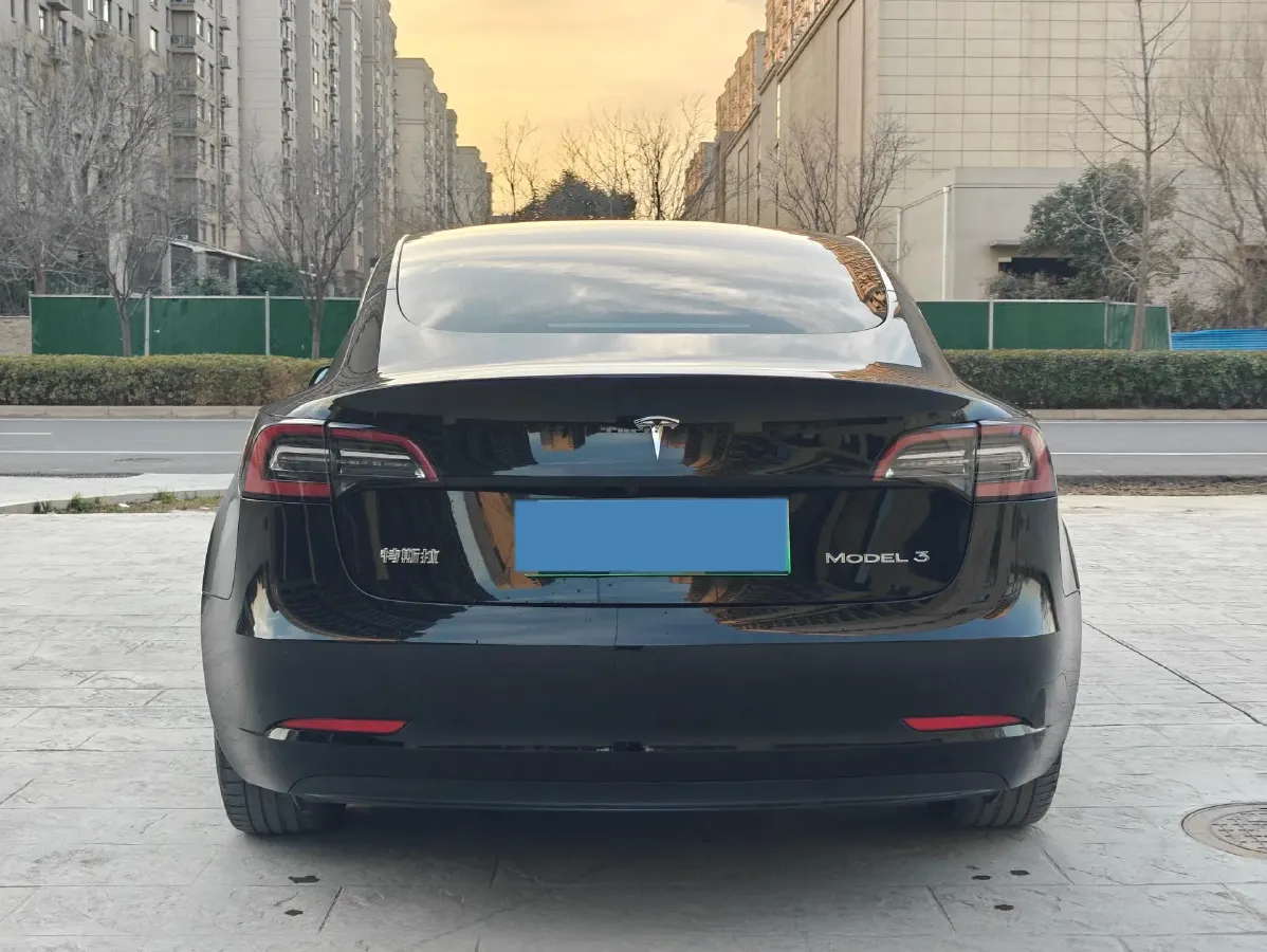 2020 Tesla Model 3 BEV 55KWH,autocango,china used car exporter,china ev exporter,chinese used car exporter,chinese used ev exporter