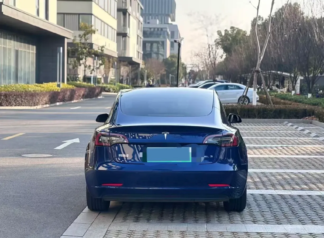 2021 Tesla Model 3 BEV 55KWH,autocango,china used car exporter,china ev exporter,chinese used car exporter,chinese used ev exporter