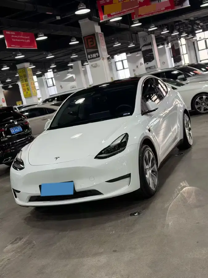 2021 Tesla Model Y BEV 60KWH