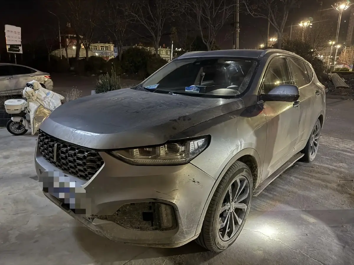 2018 WEY VV6 2.0T 197HP L4 7DCT