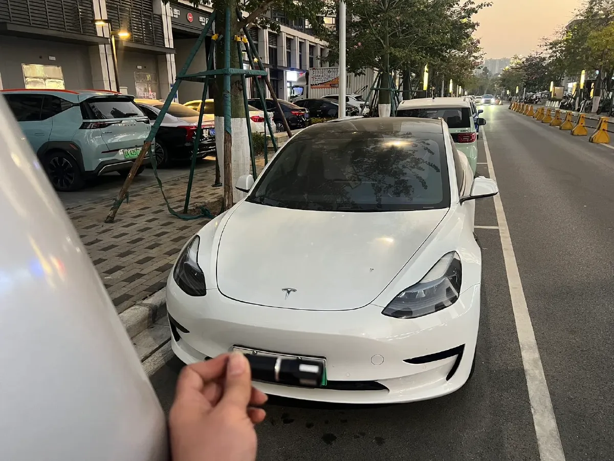 2021 Tesla Model 3 BEV 55KWH,autocango,china used car exporter,china ev exporter,chinese used car exporter,chinese used ev exporter