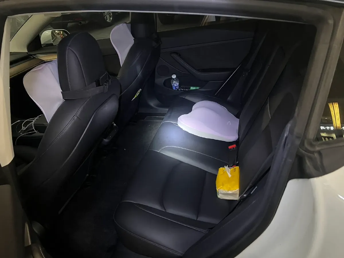 2021 Tesla Model 3 BEV 55KWH,autocango,china used car exporter,china ev exporter,chinese used car exporter,chinese used ev exporter