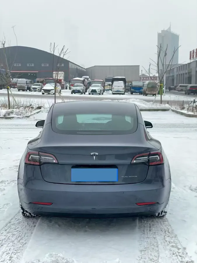 2020 Tesla Model 3 BEV 52KWH,autocango,china used car exporter,china ev exporter,chinese used car exporter,chinese used ev exporter