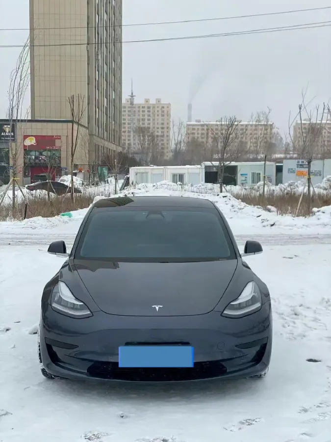 2020 Tesla Model 3 BEV 52KWH,autocango,china used car exporter,china ev exporter,chinese used car exporter,chinese used ev exporter