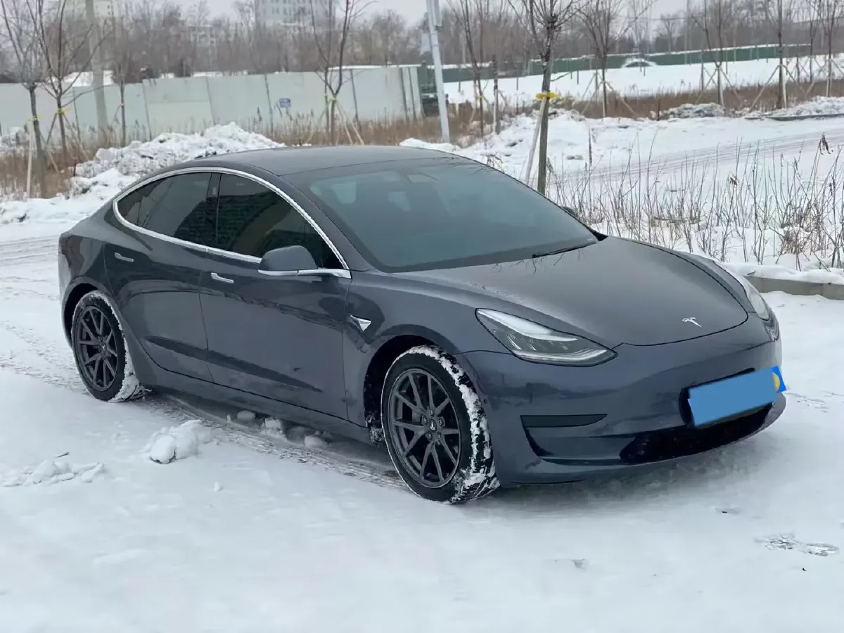 2020 Tesla Model 3 BEV 52KWH,autocango,china used car exporter,china ev exporter,chinese used car exporter,chinese used ev exporter